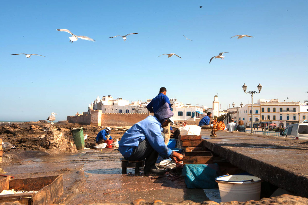 Mogador Essaouira Gnaoua World Music Festival